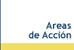 Areas de Acción